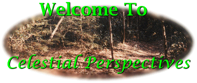 Welcome To Celestial Perspectives